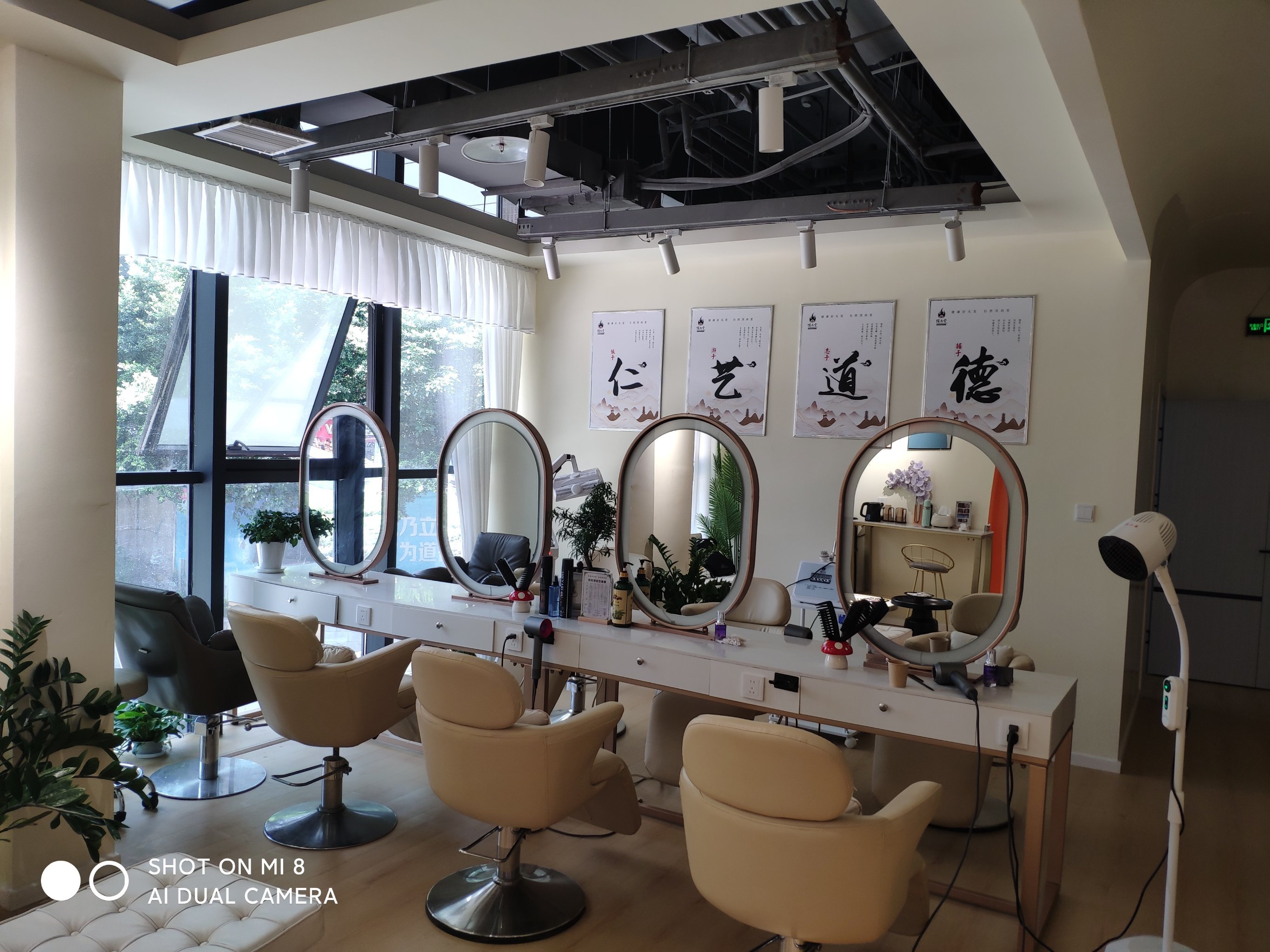 从头开始,美好的一天