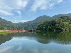 -广州市石门国家森林公园