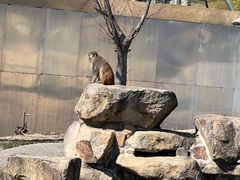 -上方山森林动物世界