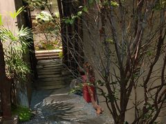 -森SPA·泰式按摩·精油Massage(宝安中心店)