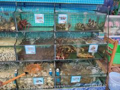 -范饭椰林川湘味海鲜·椰子鸡(三亚湾椰梦长廊店)