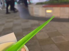 -Salud撒露欧洲冻酸奶(蓝色港湾店)