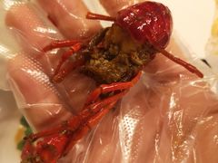 -文和友老长沙龙虾馆(化龙池店)