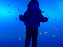 -梦幻海洋王国(吾悦广场张家港店)