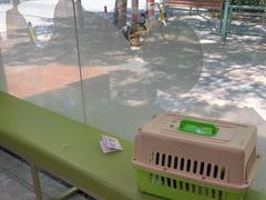 -瑞鹏宠物医院·骨外科·心肾科·肿瘤科(九亭店)