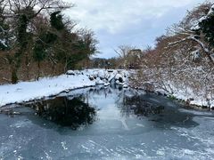 -济州森林小火车生态公园