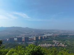 -风云岭森林公园