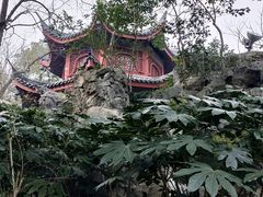 -汇龙潭