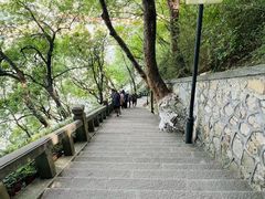 -白帝城·瞿塘峡景区