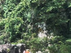-石牛山-石龙溪漂流