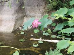 -天津盘山风景名胜区