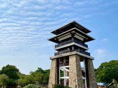 -大湾区中央湿地公园