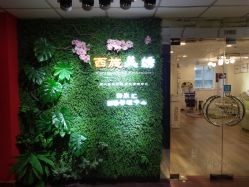 -西施无菌半永久纹绣眉眼影唇轻增发纹发际线