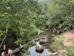 -重庆彩云湖湿地公园