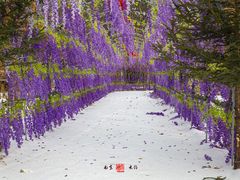 -参仙谷生态旅游度假区