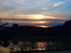 -红山村
