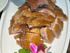 -陈麻婆豆腐(旗舰店)