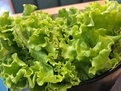 -福福泥炉烤肉(三台子店)