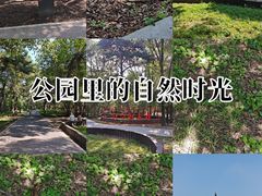 -北陵公园