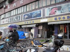 -本溪路花鸟市场(江浦路1709弄小区店)