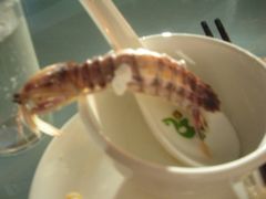 nikon&nbsp;015-夏军农家乐