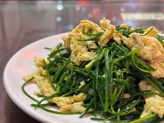 -范记靖远羊羔肉(博物馆店)