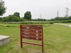 -九里河湿地公园