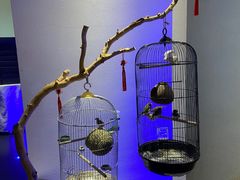 -悦融·京鲁菜·露台花园(安定门店)