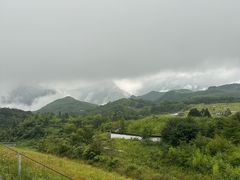 -李东农庄(中南百草园地标店)
