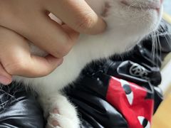 -宠颐生汉谟拉比宠物医院