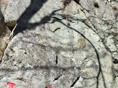 -王顺山国家森林公园