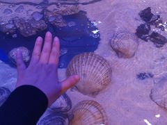 -十六蒲(桂林路店)