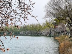 -颐和园