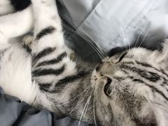 -康乐宝动物医院