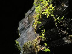 -梭布垭石林景区