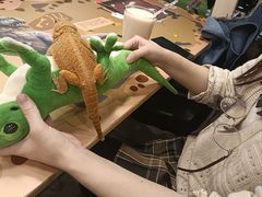 -FAIRYLAND龙族星球主题餐厅(凯丹广场店)