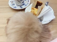 -2326 Coffee Roaster咖啡豆可选店(林肯公园店)