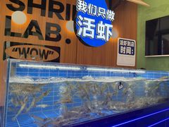 -0048鲜活香辣虾·火锅(铜陵路店)