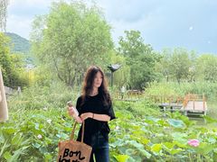 -江南雅厨(李公堤店)