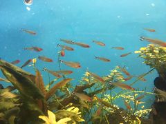 游乐设施-多彩贵州城极地海洋世界