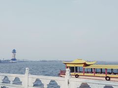 -溱湖国家湿地公园