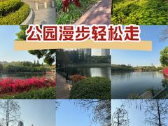 -深圳龙潭公园