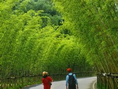 -婺源月亮湾