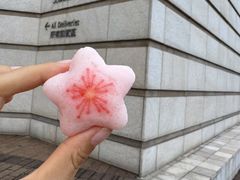 -澳门威尼斯人综合度假区