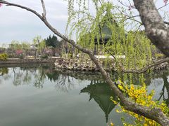 -蠡湖大桥公园