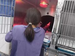 -萌兽医馆·绝育·24小时内科·宠物医院(德胜店)