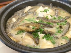 -杨记新泉美食