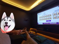 -索拉古贝(义乌北苑店)