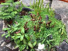 -南通洲际绿博园