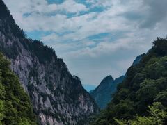 -青峰峡国家森林公园